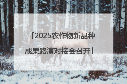 2025农作物新品种成果路演对接会召开