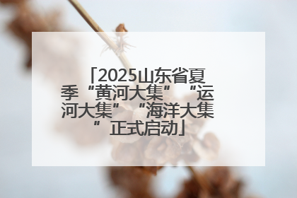 2025山东省夏季“黄河大集”“运河大集”“海洋大集”正式启动