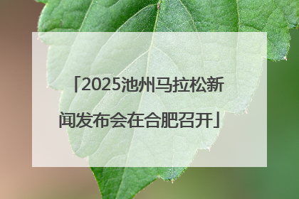 2025池州马拉松新闻发布会在合肥召开
