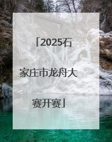 2025石家庄市龙舟大赛开赛
