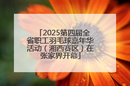 2025第四届全省职工羽毛球嘉年华活动（湘西赛区）在张家界开幕
