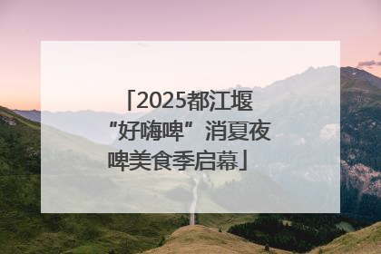 2025都江堰“好嗨啤”消夏夜啤美食季启幕