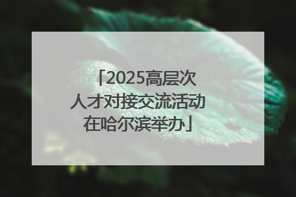 2025高层次人才对接交流活动在哈尔滨举办