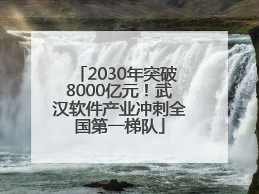 2030年突破8000亿元！武汉软件产业冲刺全国第一梯队