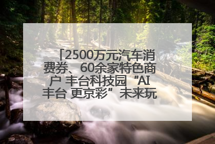 2500万元汽车消费券、60余家特色商户 丰台科技园“AI丰台 更京彩”未来玩家市集活动正式开幕