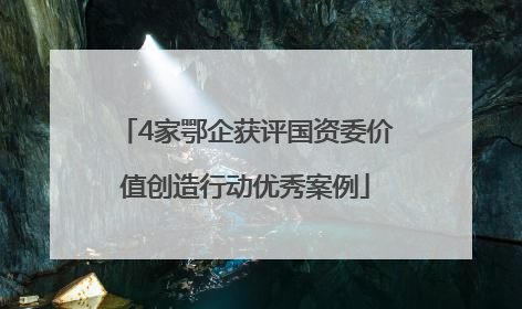 4家鄂企获评国资委价值创造行动优秀案例