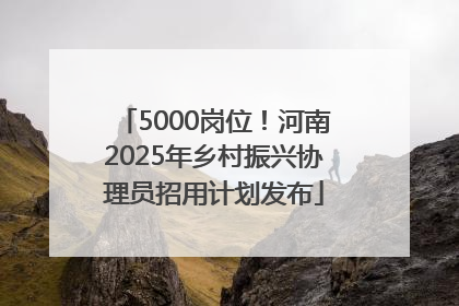 5000岗位！河南2025年乡村振兴协理员招用计划发布