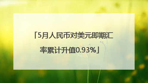 5月人民币对美元即期汇率累计升值0.93%