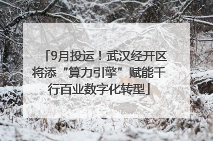 9月投运！武汉经开区将添“算力引擎”赋能千行百业数字化转型