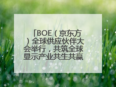 BOE（京东方）全球供应伙伴大会举行，共筑全球显示产业共生共赢新格局
