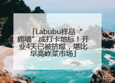 Labubu样品“痛墙”成打卡地标！开业4天已被挤爆，堪比早高峰菜市场