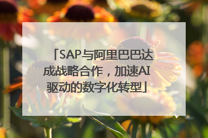 SAP与阿里巴巴达成战略合作，加速AI驱动的数字化转型