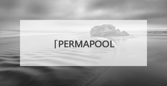 PERMAPOOL（潘马普）泳池除湿恒温系统，专为室内高端泳池量身定制