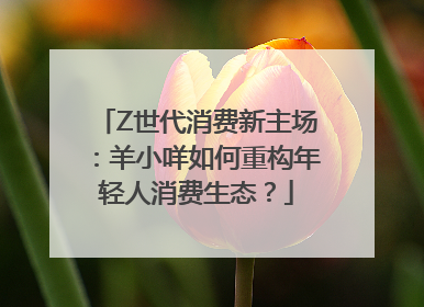 Z世代消费新主场：羊小咩如何重构年轻人消费生态？